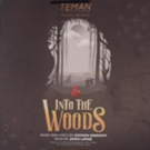 BWW Previews: TEMAN Journeys Into The Indonesian Theatre Scene with INTO THE WOODS