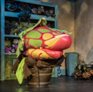 BWW Review: A Monster, Motown, and More in the LITTLE SHOP OF HORRORS at Red…