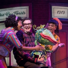 BWW Review: Two Green Thumbs Up for the Stratford Festival's LITTLE SHOP OF HORRORS Video