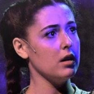 BWW Review: Media Theatre's THE WIZARD OF OZ Photo