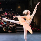 YOU Dance Livestreams Reaches a Record-Breaking 24,000 Students This Season Photo