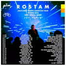 Joy Again Announce North American Tour w/ Rostam Photo