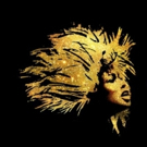 New Casting Information Announced for Premiere of Tina Turner Musical TINA