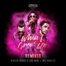 Dimitri Vegas & Like Mike's WHEN I GROW UP Gets Fresh Perspective With Remix Package Photo