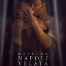 Breaking Glass Acquires Lauded Italian Noir NAPLES IN VEILS Photo