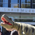 BWW Previews: DINO FAMILY DAY at Morris Museum