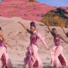 VIDEO: Janelle Monae Releases New PYNK Music Video Photo