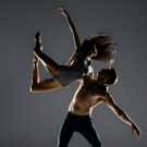 CHOP SHOP Reveals The 2019 Dance Festival Artists