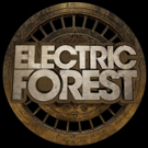 Electric Forest Announces Over 40 Additional Artists to the 2018 Lineup and Launches Photo