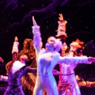 BWW Review: Those Mischievous CATS Land on Their Feet at Broadway Sacramento