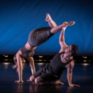 The Dance Gallery Festival Returns To NYC in November Photo