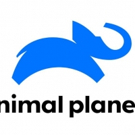 Animal Planet Presents New Series THE AQUARIUM Photo