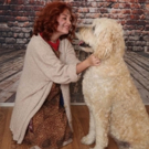 Mesa Encore Theatre to Present the Classic Tale ANNIE