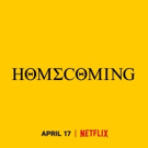 Netflix Teases New Beyonce Documentary, HOMECOMING Photo