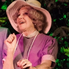 BWW Review: Desert Rose Presents a Not-to-be-Missed Production of Tennessee…