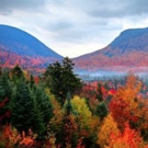 PBS and BBC Announce AUTUMNWATCH - NEW ENGLAND Photo