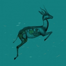 The Oh So Serious Brings Country Folk Music to the Alexander Upstairs This December