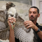 Smithsonian Channel to Premiere BIRD VS. PLANE: MIRACLE ON THE HUDSON Photo