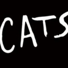 Walton Arts Center Brings CATS to Fayetteville 5/28 - 6/2! Video