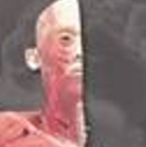 REAL BODIES The Exhibition Premieres In Sydney