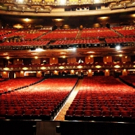 New Study Shows Audience's Hearts Synchronize At The Theatre Photo
