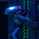 Global Roundup 4/19 - MUNY Casting, Corey Cott in WEST SIDE STORY, Encore Performance of ALIEN Play and More! Image
