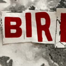 THE BIRDS Comes To The 2019 Hollywood Fringe Festival Video