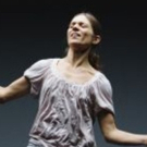 21ST CYPRUS CONTEMPORARY DANCE Comes To Pallas Theatre Today Photo