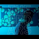 John Vanderslice Streams 'Triumphant' New Album THE CEDARS on The Fade