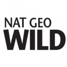 Nat Geo WILD Greenlights DEAD BY DAWN Photo