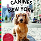 BWW Review: CANINES OF NEW YORK by Heather Weston for Dog Lovers and Many More Photo