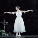 BWW Review: GISELLE, Royal Opera House Video