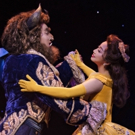 Photo Flash: Mandarin Production of BEAUTY AND THE BEAST Premieres at Shanghai Disney Video