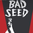 Academy for the Performing Arts Presents BAD SEED