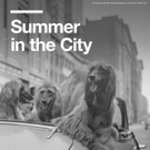 LinkNYC, DoITT Announce Content Partnership With The Museum Of The City Of New York