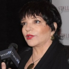 Liza Minnelli Shuts Down Reports About Involvement in Upcoming Judy Garland Movie