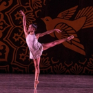 Miami City Ballet Announces Company Roster for 2018/19 Season Photo