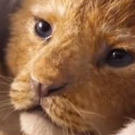 New Footage From THE LION KING And ALADDIN Debuts At CinemaCon