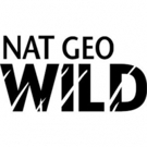 National Geographic WILD and Sun Valley Film Festival Launch Sixth Annual WILD Photo