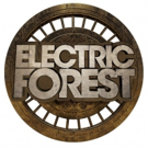 Electric Forest's 2018 Food Drive & Resource Recovery Program Benefit Local Non-Profi Photo