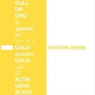 Lionel Richie's Mentee,Rayvon Owen Releases Glittering New Track Photo