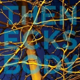 The Necks to Release New Album BODY August 14  Image