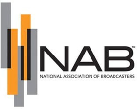 Kristen Bell to Receive 2018 NAB Television Chairman's Award  Image