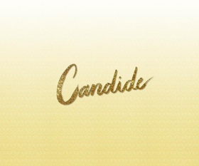 John Lithgow, Patricia Racette, and More Lead CANDIDE at Carnegie Hall  Image