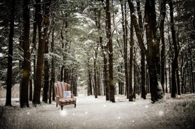 WINTER TALES Comes to Vermont Stage Image