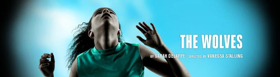Cast Announced for THE WOLVES at Goodman Theatre Image
