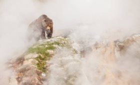 Sir David Attenborough to Present BBC America's ONE PLANET: SEVEN WORLDS Image