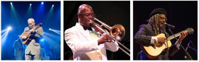 Segerstrom Center Announces EL GRAN FESTIVAL DE MUSICA CUBANA, 6/16 Image