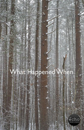 Echo Theater's WHAT HAPPENED WHEN Gets Third and Final Run with New Cast Image