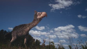 Smithsonian Channel to Premiere Two-Hour Special TOP TEN DEADLIEST BEASTS Image